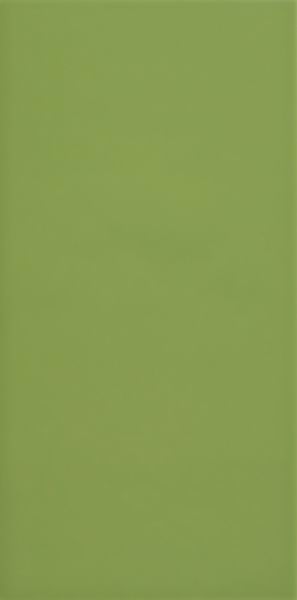 OPTICA VERDE PANTONE MATT - Obklady a dlažby