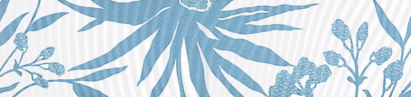 tresor neige listello fiore ciel - Obklady a dlažby