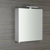 RIWA galerka s LED osvětlením, 50x70x17cm, dub stříbrný