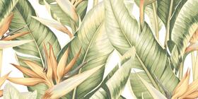 Obklad White Tropical A 30x60 cm (5274HL1A) | Více -