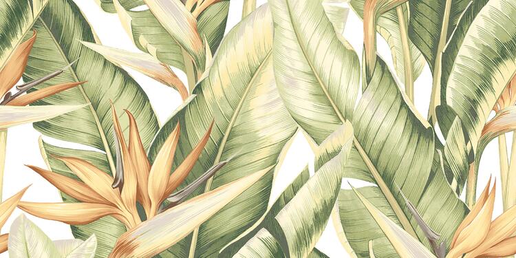 Obklad White Tropical A 30x60 cm (5274HL1A)