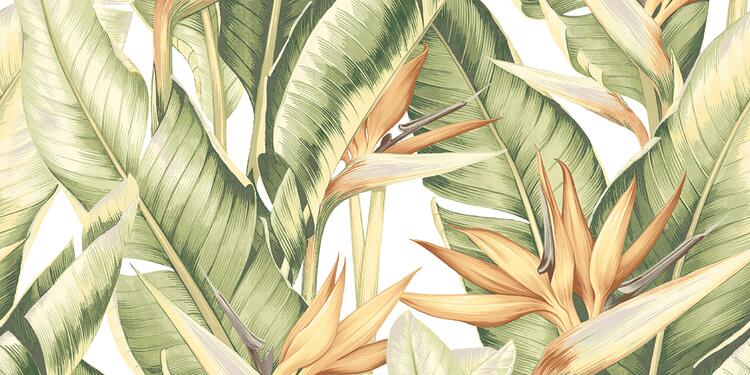 Obklad White Tropical B 30x60 cm (5274HL1B)