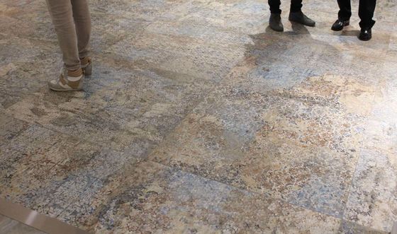 Dlažba Carpet napodobující belgický koberec je sama o sobě tak zajímavá, že interiér s ní již nepotřebuje další dekorativní prvky. | Jaké další vzhledy mohou dlažby mít?
