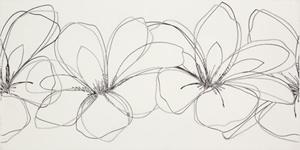 Soft inserto fiori platino 1/2/3, Formát: 30 × 60 cm, Dostupnost: Běžně do 2 týdnů