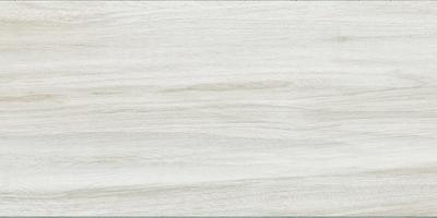 Gesso, Formát: 20 × 120 cm, Formát: 30 × 120 cm, Dostupnost: Běžně od 10 dnů