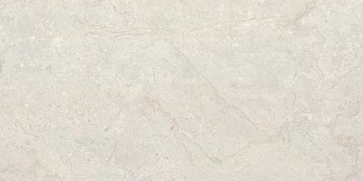 Wavy grey, Formát: 30 × 60 cm, Dostupnost: Obvykle skladem