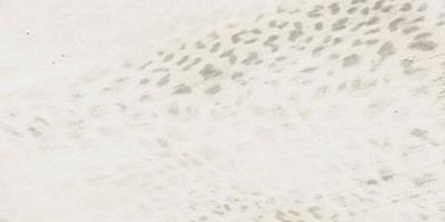 Giaguaromask bianco, Formát: 60 × 120 cm, Dostupnost: Běžně od 10 dnů