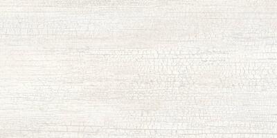 Wood Blanc, Formát: 20 × 120 cm, Formát: 26,5 × 180 cm, Dostupnost: Běžně od 10 dnů