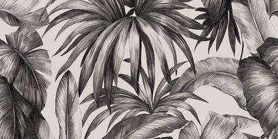 Palm black/white, Formát: 60 × 120 cm, Dostupnost: Běžně od 10 dnů