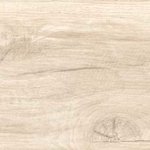 Komerční prostory s dlažbou v imitaci dřeva Eternal Roble - Dlažba imitace dřeva Eternal