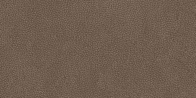 Cuir Chocolate, Formát: 60 × 120 cm, Formát: 120 × 120 cm, Dostupnost: Běžně do 2 týdnů