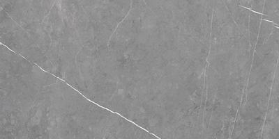 Posh pietra grey, Formát: 120 × 120 cm, Formát: 60 × 120 cm, Formát: 60 × 60 cm, Formát: 30 × 60 cm, Dostupnost: Běžně od 10 dnů