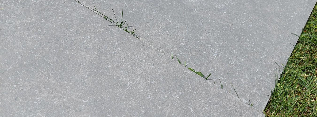 Venkovní dlažba Belgium stone barva šedá na trávě
